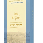 אם למקרא - במדבר דברים